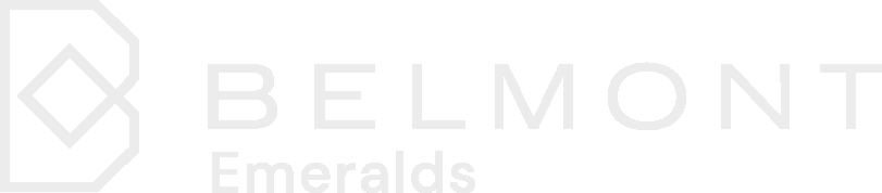 Grupo Belmont logo