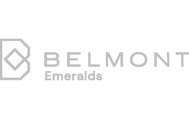 Grupo Belmont